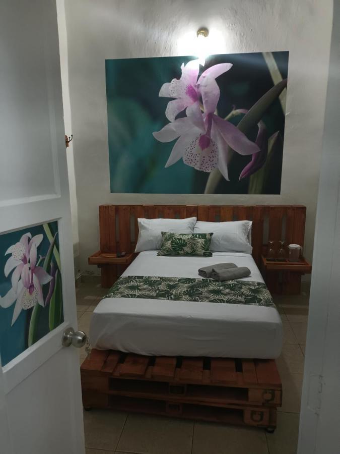 Hospedajes El Jardin Енвигадо Екстериор снимка